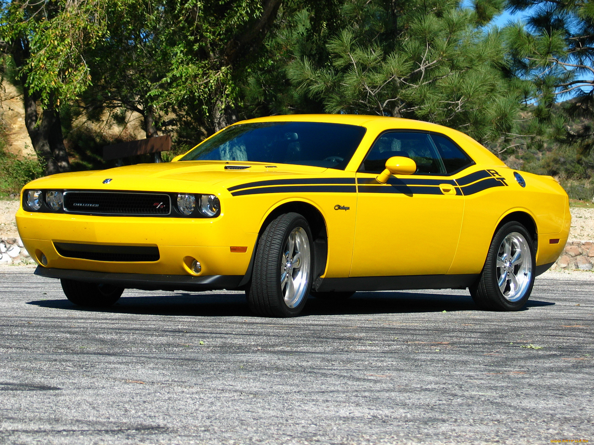 , dodge